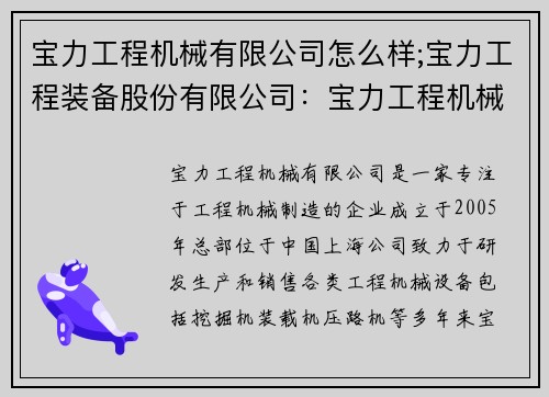 宝力工程机械有限公司怎么样;宝力工程装备股份有限公司：宝力工程机械有限公司评测及口碑分析