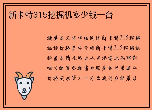 新卡特315挖掘机多少钱一台